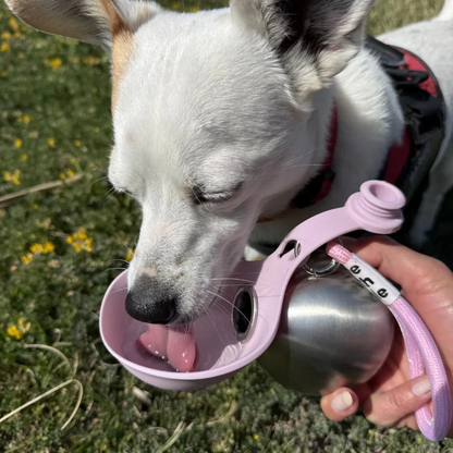 One-Hand Press Pet Hydration Dispenser (285ml)