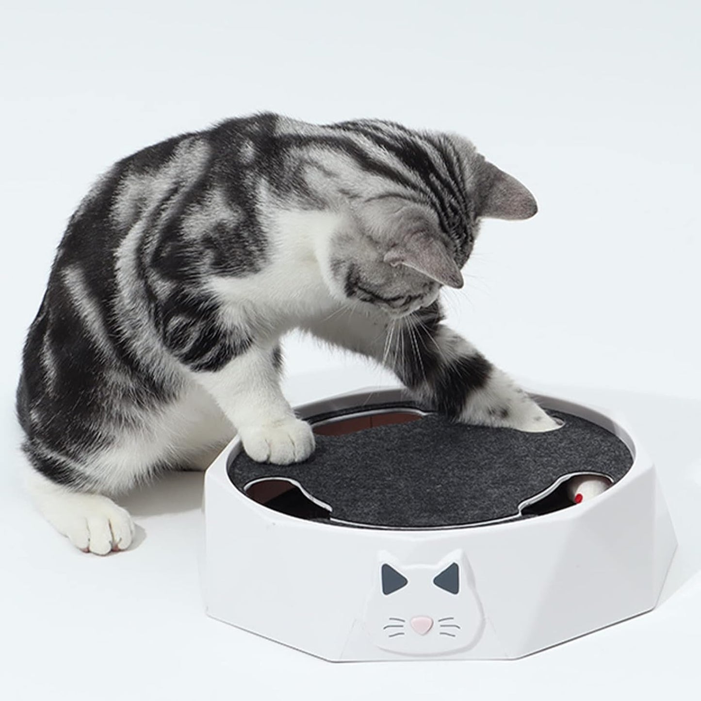 Interactive Cat Turntable Toy