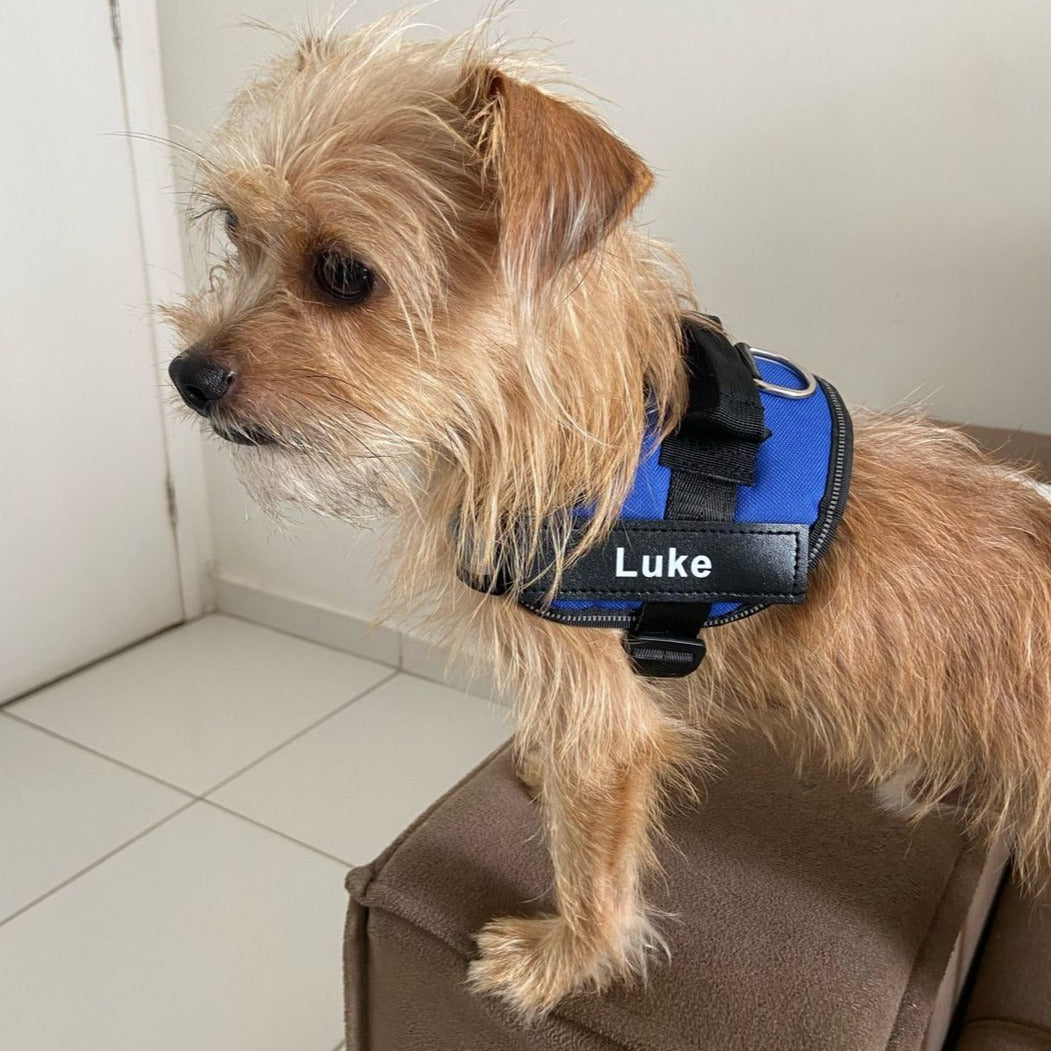 Pawrelia™ Ultimate Personalized No Pull Dog Harness