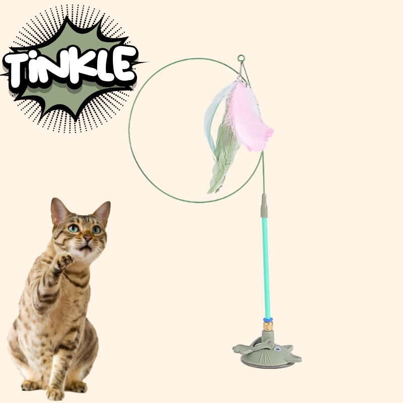Interactive Cat Toy Set