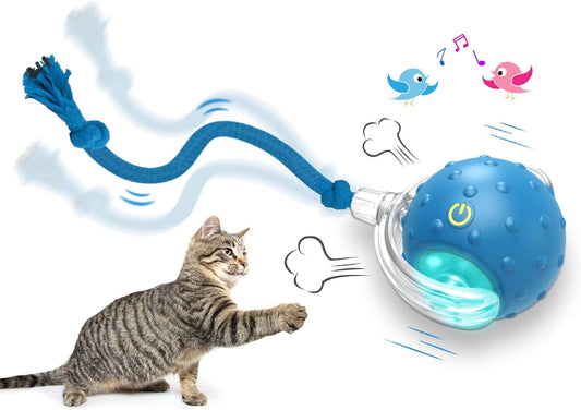 Interactive Rechargeable Cat Toy