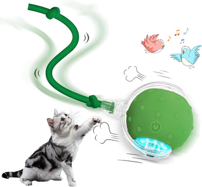 Interactive Rechargeable Cat Toy
