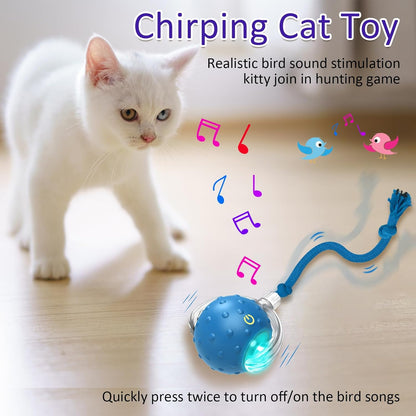 Interactive Rechargeable Cat Toy