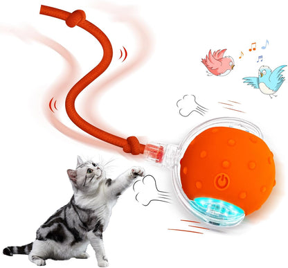 Interactive Rechargeable Cat Toy