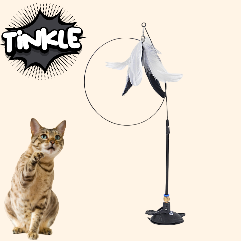 Interactive Cat Toy Set