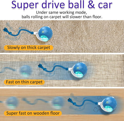 Interactive Rechargeable Cat Toy