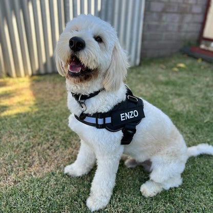 Pawrelia™ Ultimate Personalized No Pull Dog Harness