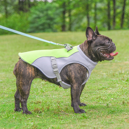 Pet Cooling Vest – Breathable Summer Pet Cooling Jacket