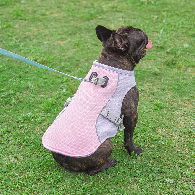Pet Cooling Vest – Breathable Summer Pet Cooling Jacket