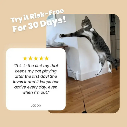 Interactive Cat Toy Set