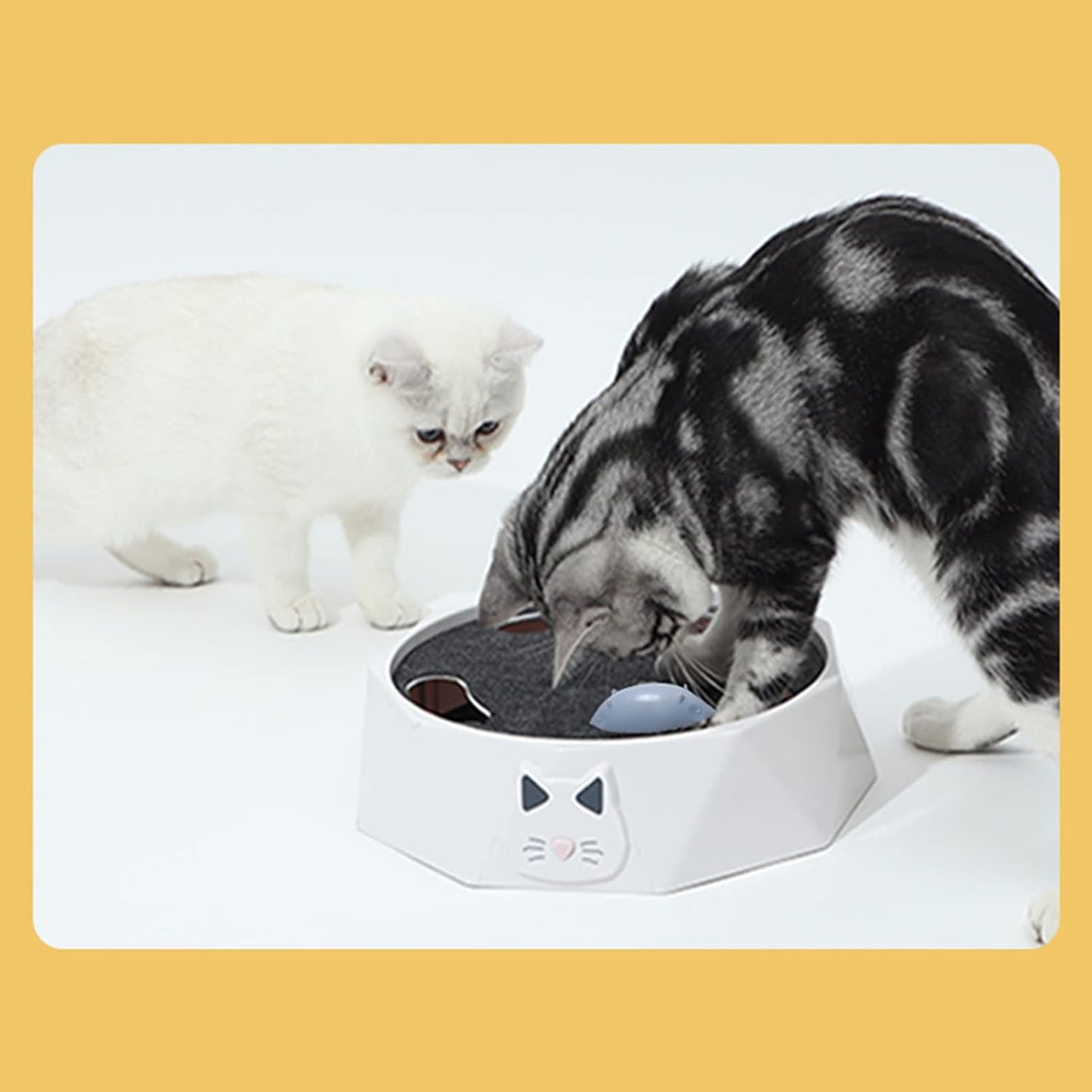 Interactive Cat Turntable Toy