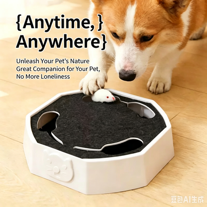 Interactive Cat Turntable Toy