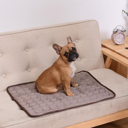 Dog Cat Cooling Summer Pad Mat