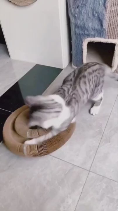Flexible Cat Scratcher Toy with Bell Ball