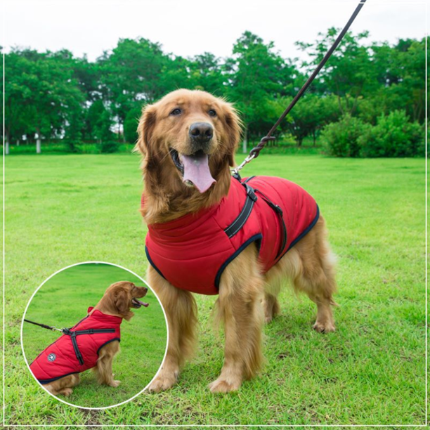 Pawrelia™ -3 in 1 Winter Jacket