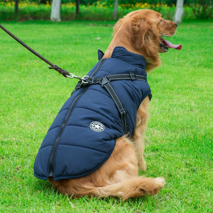 Pawrelia™ -3 in 1 Winter Jacket