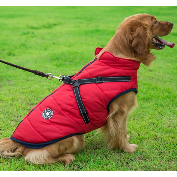 Pawrelia™ -3 in 1 Winter Jacket