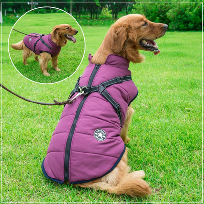 Pawrelia™ -3 in 1 Winter Jacket