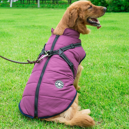 Pawrelia™ -3 in 1 Winter Jacket