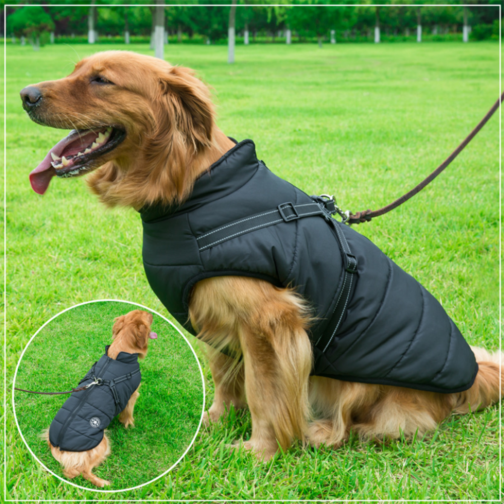 Pawrelia™ -3 in 1 Winter Jacket