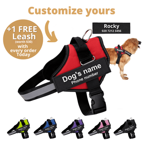 Pawrelia™ Ultimate Personalized No Pull Dog Harness