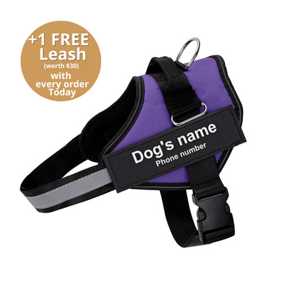 Pawrelia™ Ultimate Personalized No Pull Dog Harness