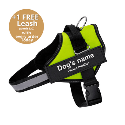 Pawrelia™ Ultimate Personalized No Pull Dog Harness