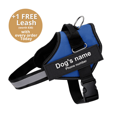 Pawrelia™ Ultimate Personalized No Pull Dog Harness