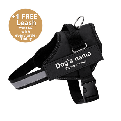 Pawrelia™ Ultimate Personalized No Pull Dog Harness